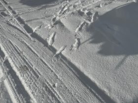 <br />
<b>Warning</b>:  Uninitialized string offset 0 in <b>/usr/home/mw2pymjgsz/www/htdocs/cms/wp-content/themes/hcs/single.php</b> on line <b>56</b><br />
