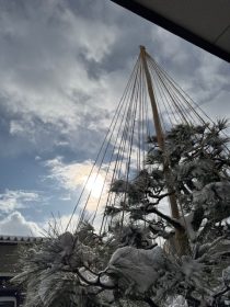 <br />
<b>Warning</b>:  Uninitialized string offset 0 in <b>/usr/home/mw2pymjgsz/www/htdocs/cms/wp-content/themes/hcs/single.php</b> on line <b>50</b><br />
